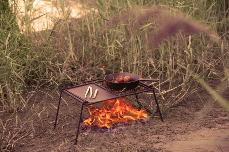 folding campfire grates